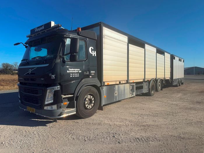 Volvo FM380 + TANDEMTRAILER, Dyretransport
